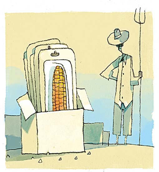 ¿Corresponde a la Federación o a las entidades federativas la declaración de zonas libres de cultivos con organismos genéticamente modificados?