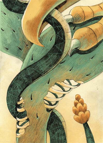 Tamaulipas: ¿un nuevo federalismo desde el noreste?