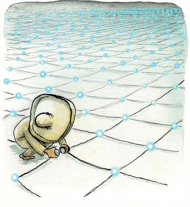 Desigualdad digital: la brecha en el acceso a TIC entre entidades federativas