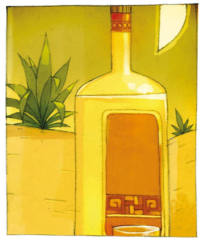 Innovaciones a la industria raicillera de Jalisco